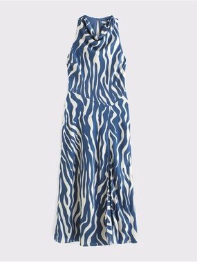 Abercrombie & Fitch Blue and White Zebra-Print Sleeveless Maxi